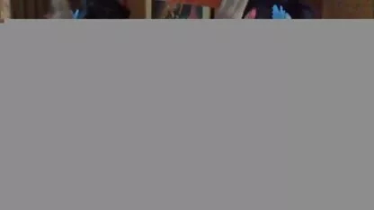 تابستان سگس الگسیس هندی